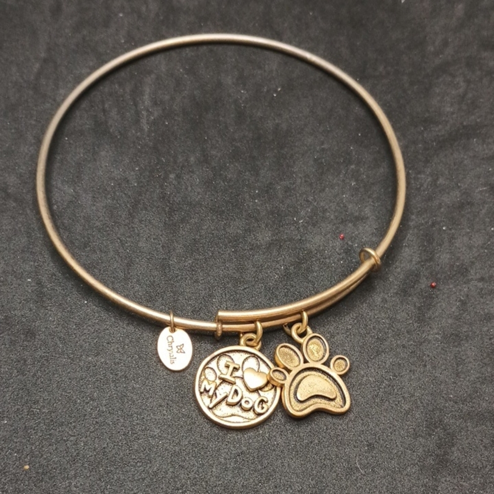 Gold Tone Dog Lover Charm Bracelet